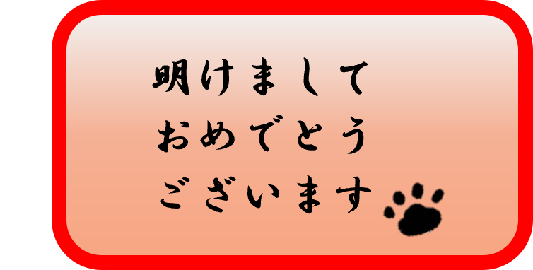 🎍あけましておめでとうございます🎍